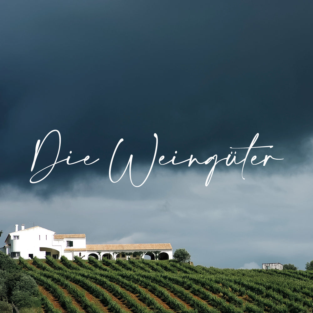 Bild mit einem Weingut in Portugal umgeben von einem Weinberg. Veröffentlicht von Vinho Bar, einem Onlineshop für Weine aus Portugal aus Wuppertal.