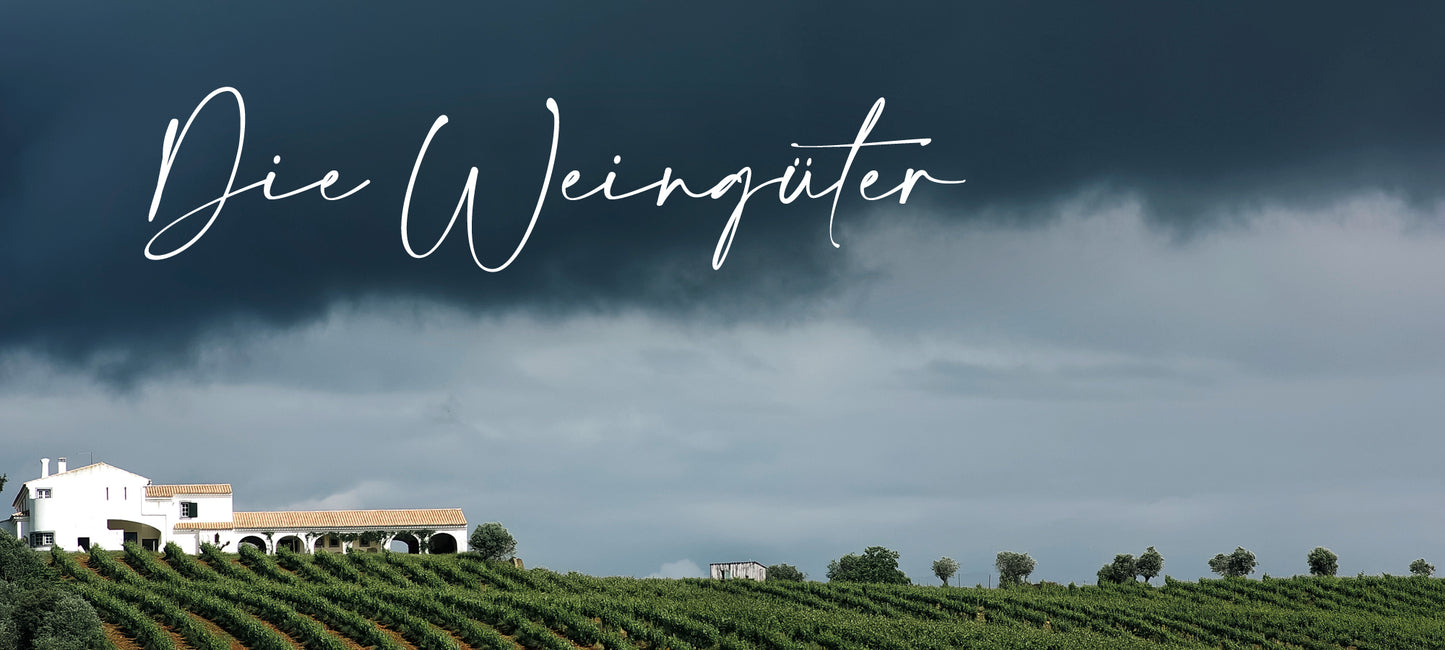 Bild mit einem Weingut in Portugal umgeben von einem Weinberg. Veröffentlicht von Vinho Bar, einem Onlineshop für Weine aus Portugal aus Wuppertal.