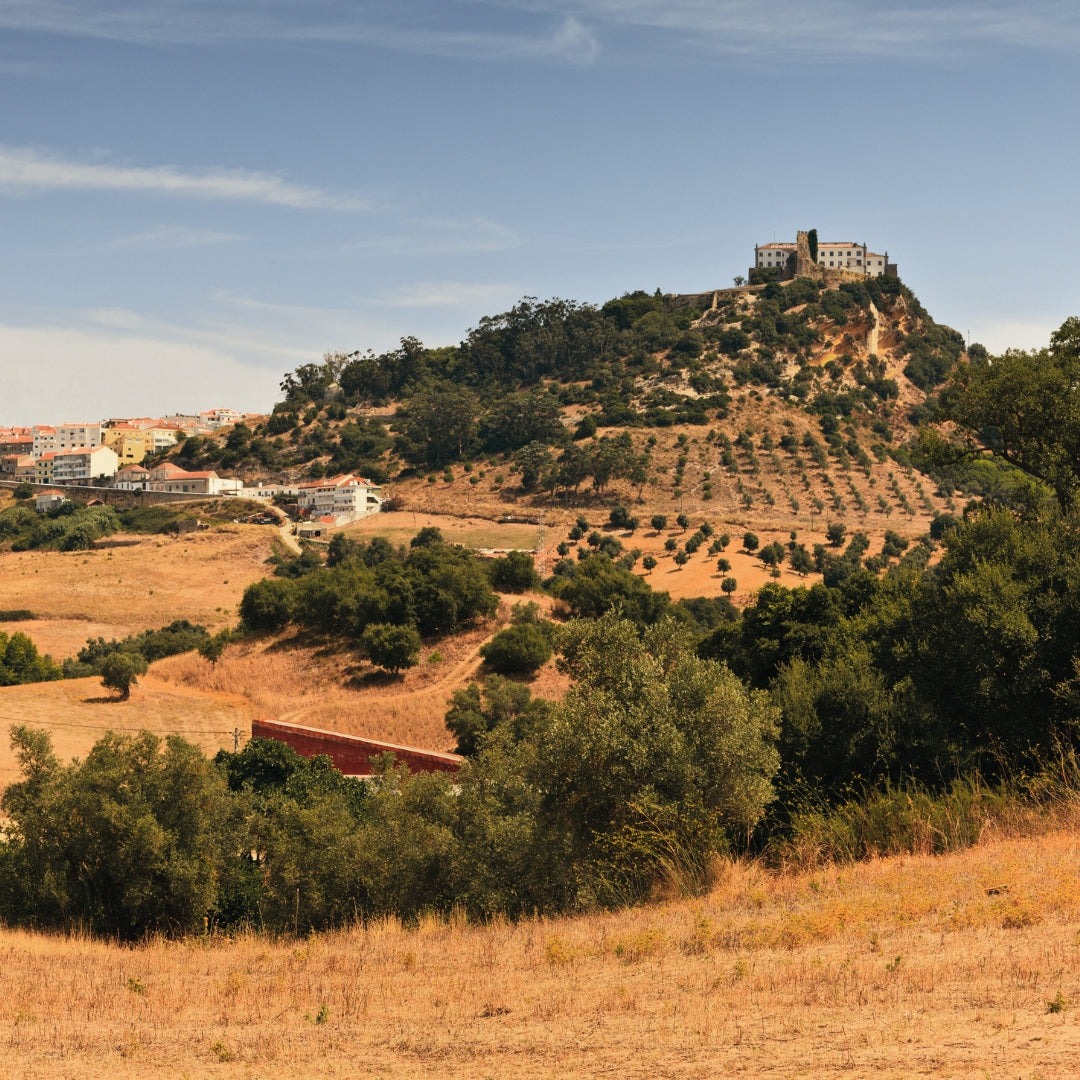 Panorama-Aufnahme der portugiesischen Region Palmela. Im Zentrum steht ein markanter, mit Olivenbäumen und Büschen bewachsener Hügel, auf dessen Gipfel die historische Burg (Castelo de Palmela) thront. Links am Hang schmiegen sich weiße Häuser mit typischen Terrakotta-Dächern an die Landschaft. Der Vordergrund zeigt trockene, goldbraune Felder und mediterrane Vegetation unter einem klaren, blauen Himmel.