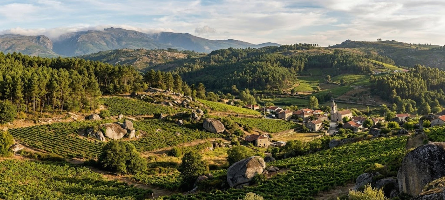 Panoramablick auf die Weinregion Dão in Portugal mit grünen Weinbergen, charakteristischen Granitfelsen und dichten Wäldern vor der Kulisse der Serra da Estrela.