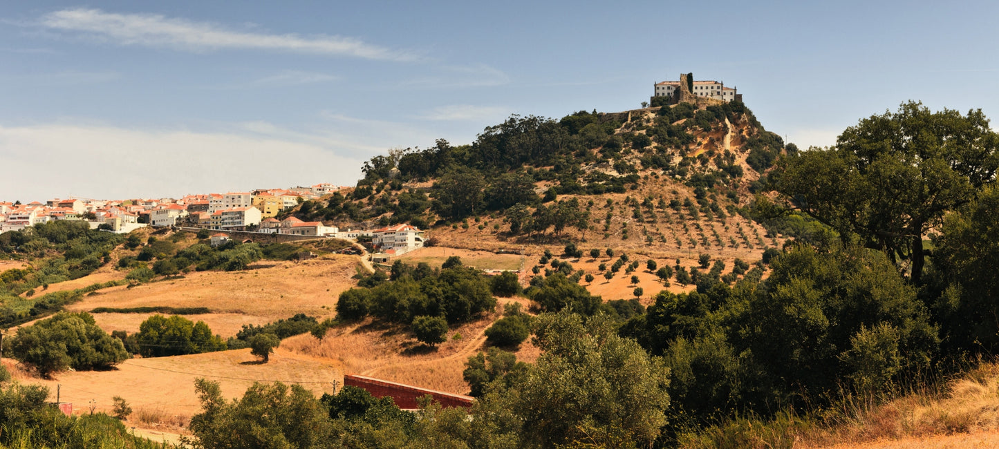 Panorama-Aufnahme der portugiesischen Region Palmela. Im Zentrum steht ein markanter, mit Olivenbäumen und Büschen bewachsener Hügel, auf dessen Gipfel die historische Burg (Castelo de Palmela) thront. Links am Hang schmiegen sich weiße Häuser mit typischen Terrakotta-Dächern an die Landschaft. Der Vordergrund zeigt trockene, goldbraune Felder und mediterrane Vegetation unter einem klaren, blauen Himmel.