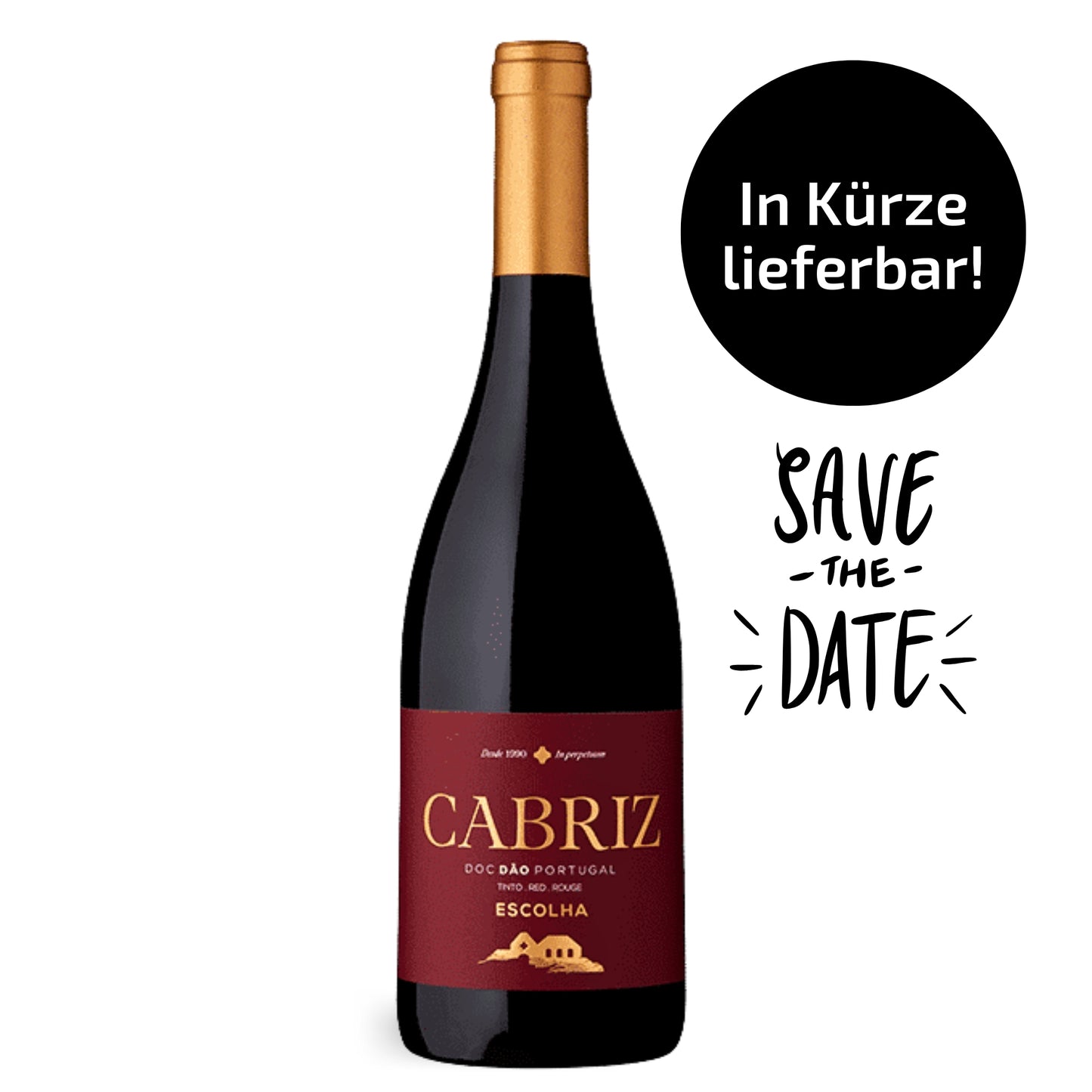 Eine elegante Flasche Cabriz Escolha Rotwein, DOC Dão Portugal. Das dunkle, weinrote Etikett mit edler Goldprägung und die goldfarbene Kapsel unterstreichen den exklusiven Charakter des Weins vor hellem Hintergrund.