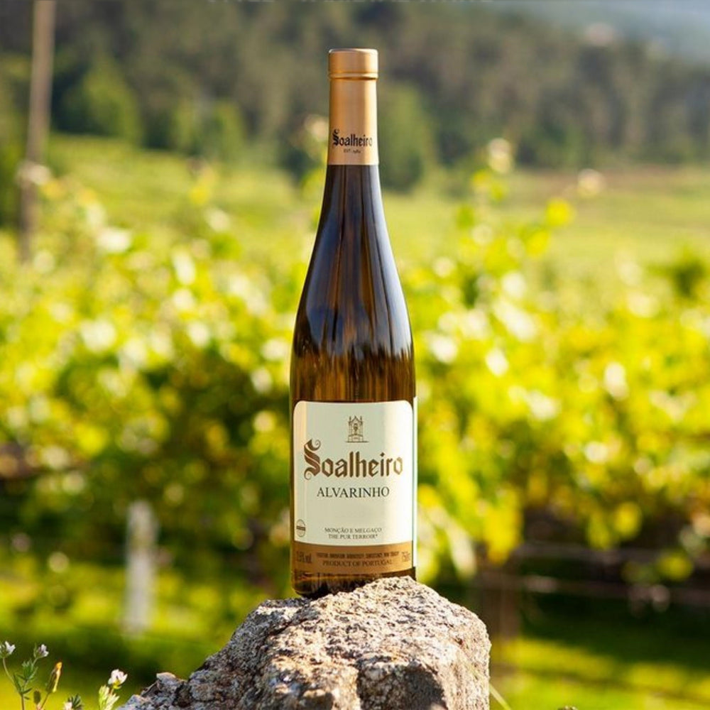 
                  
                    Alvarinho Classic, ein Weißwein vom Weingut Quinta da Soalheiro aus der Region Vinho Verde, Mino, Lima Tal, in Portugal. Bild mit einem Weinberg im Hintergrund, Weißweinflasche auf einem Stein stehend.
                  
                